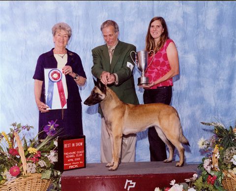 Broadcreek best sale belgian malinois